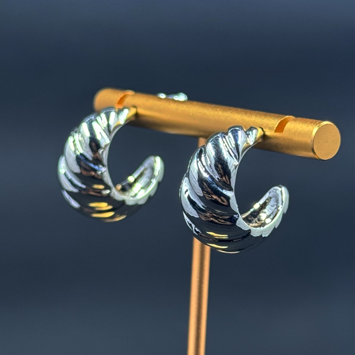 Silver Twist Hoops (Small)