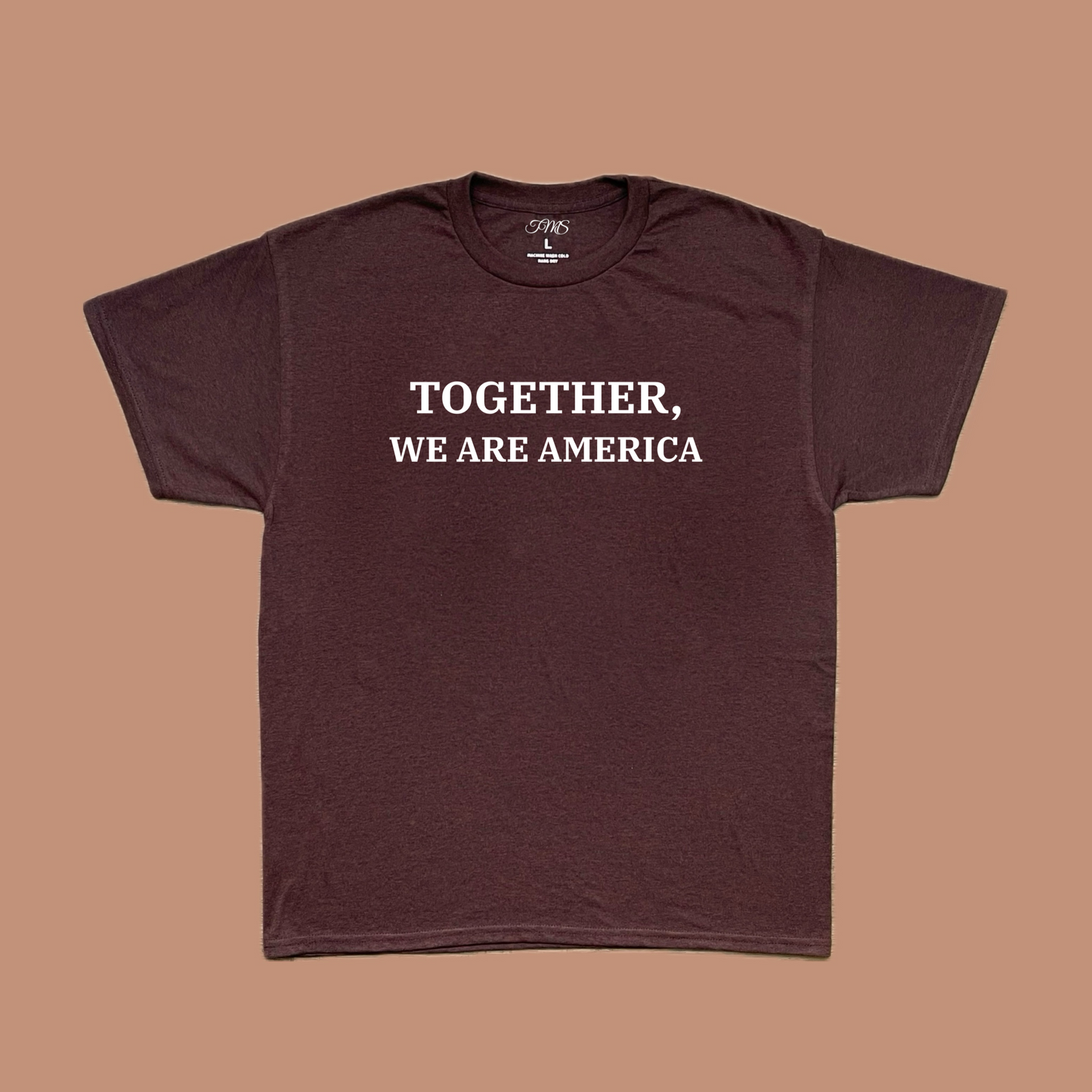 Together, We Are America Tee