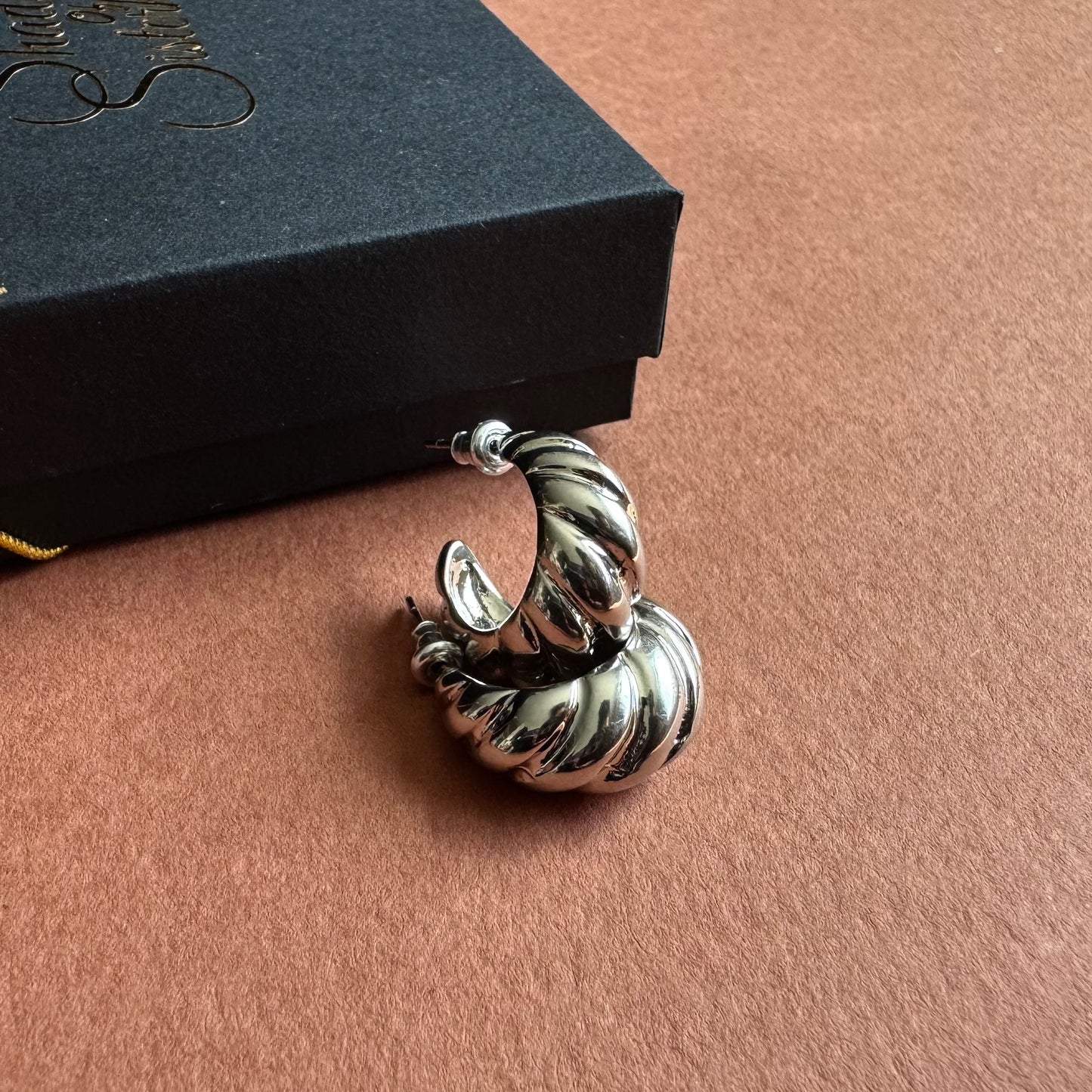 Silver Twist Hoops (Small)