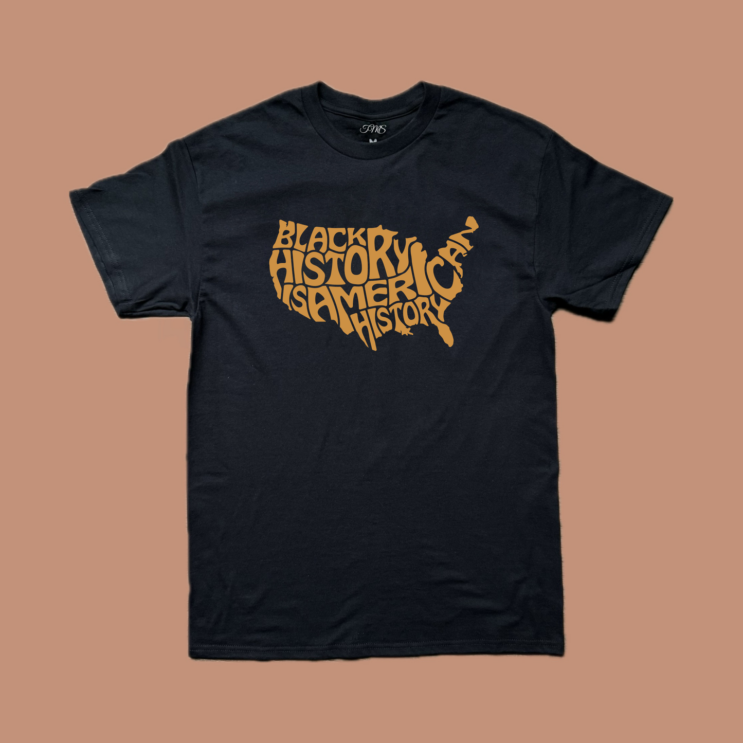 Black American History Tee